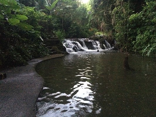 HI50 S6 Nuuanu 51 Kepola Pl 23.38