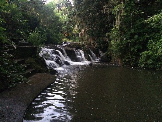 HI50 S6 Nuuanu 51 Kepola Pl 23.13