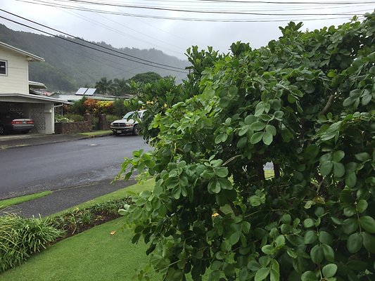 HI50 S6 2015-10-15 11.05.50