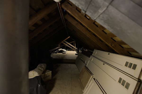 Nuuanu 3157Alika Hidano-20