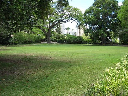 NUUANU DOWSETT FRIZELLE 1