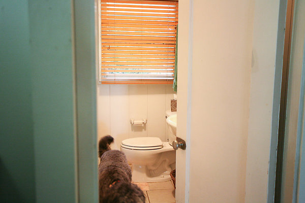 Nuuanu 3501 PaliRd Hadwick-11