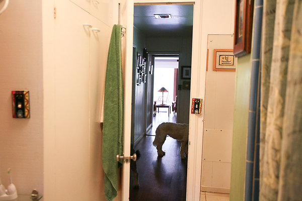 Nuuanu 3501 PaliRd Hadwick-14