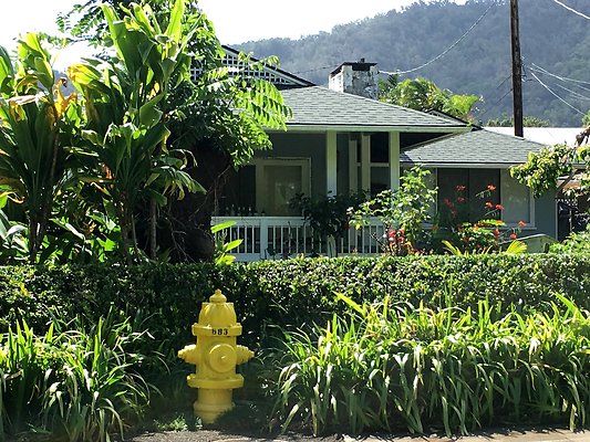 Nuuanu 168 Dowsett Ave NOT.HOME