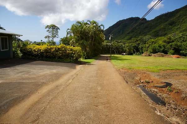 pathway back to front of property