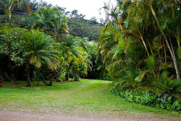entrance between adjacent property and back of the main house