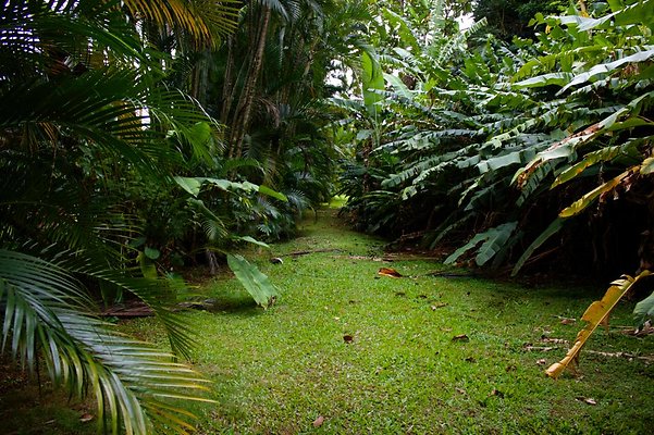 pathway back toward house