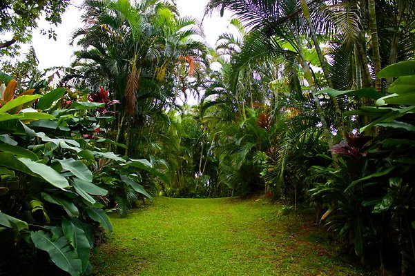 pathway back toward house continued