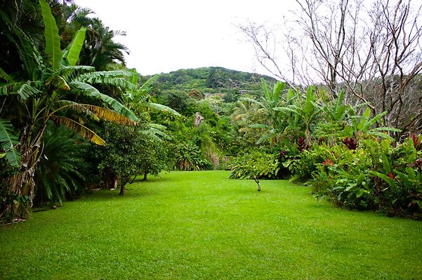 cabana area past tree grove wide