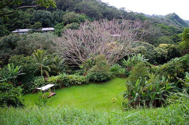 41a cabana aerial view