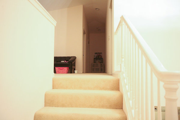 Palolo 1529 9th Muranaka-16