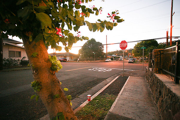 Palolo 1529 9th Muranaka-6