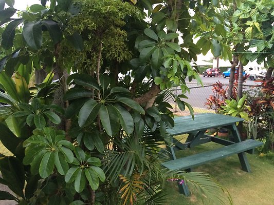 HI50 S6 Palolo 1521 8th Ave 9.09.38