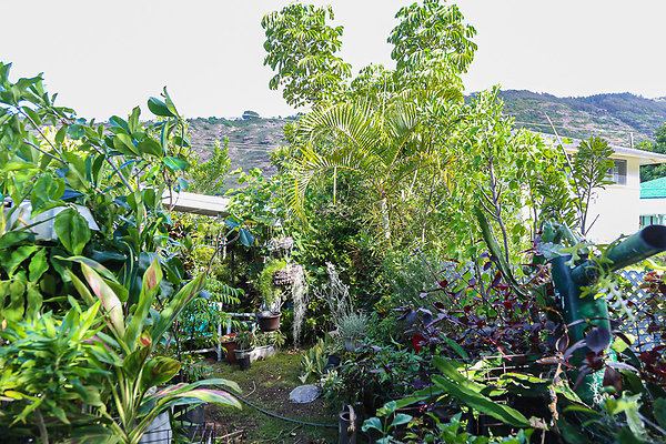 20190909-1935 9th Ave 019