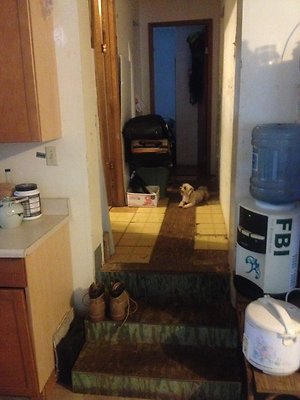 HI50 S5 2186 10thAve 2014-08-21 19.02.32