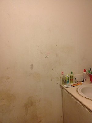 HI50 S5 2186 10thAve 2014-08-21 17.33.58