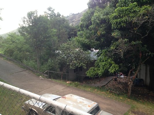 HI50 S5 2186 10thAve 2014-08-21 18.47.21