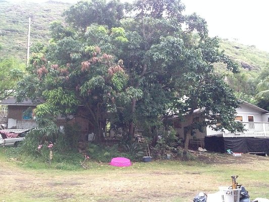 HI50 S5 2186 10thAve 2014-08-21 18.57.41