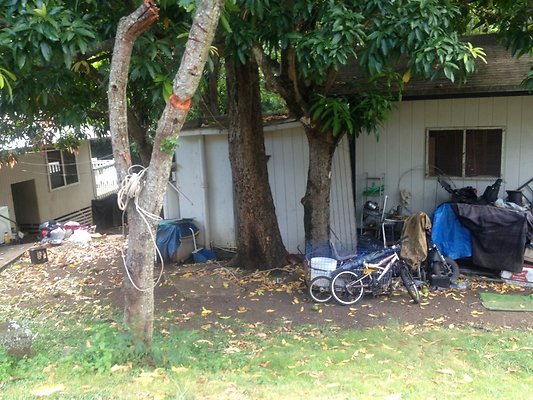 HI50 S5 2186 10thAve 2014-08-21 17.37.48