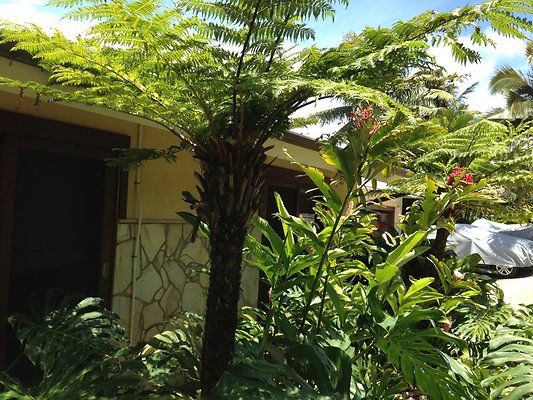 HI50 S5 2014-04-11 11.37.10