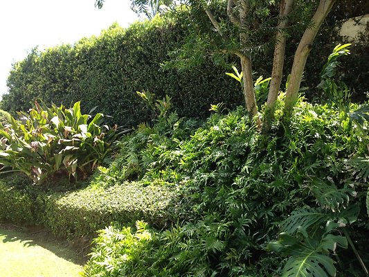 HI50 S5 2014-04-11 11.37.15