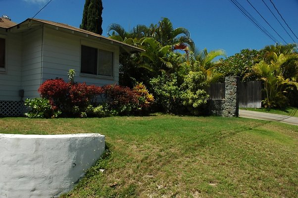 HI50 S5 Waimanalo 41-045HiluSt GMcHugh DSC 2883