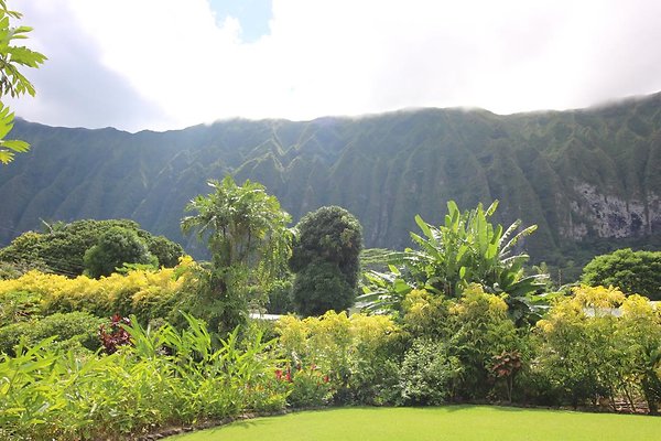 Updated fields, clearnings, &amp; grass roads - Nov. 2019