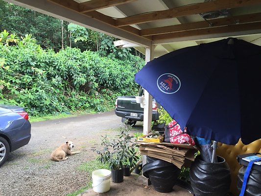 HI50 S6 2016-02-24 12.26.54