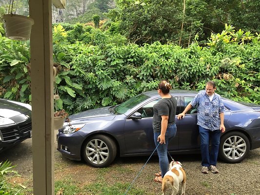 HI50 S6 2016-02-24 12.26.52