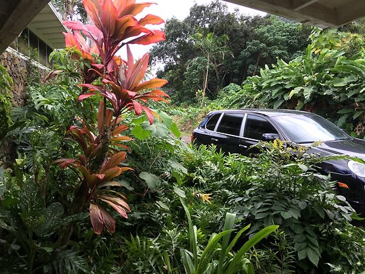 HI50 S6 2016-02-24 12.26.50