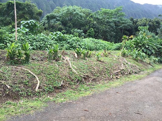 HI50 S6 2016-02-24 12.39.59