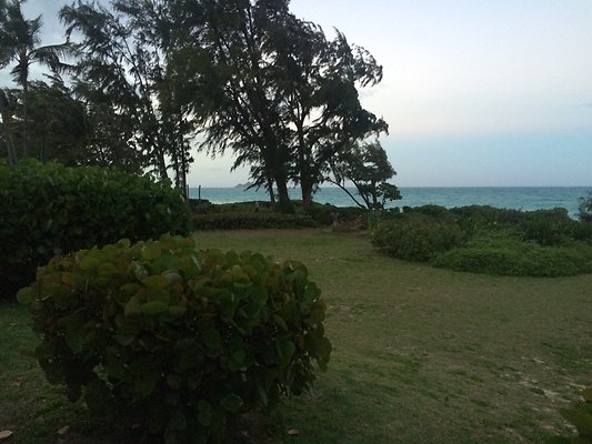 HI50 S5 41-959 Laumilo 43.15