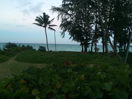 HI50 S5 41-959 Laumilo 43.19