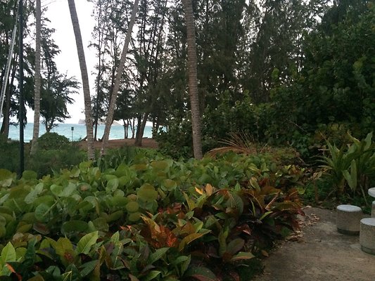 HI50 S5 41-959 Laumilo 43.22