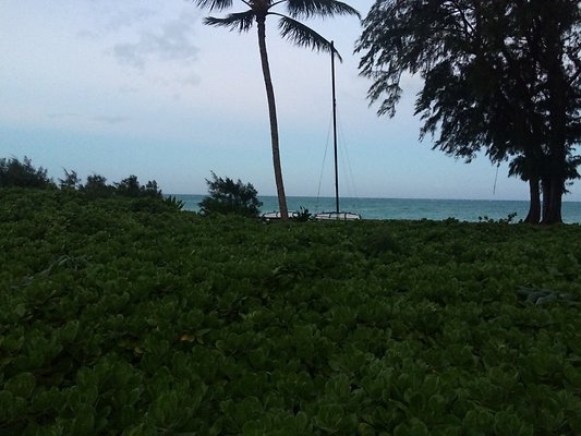 HI50 S5 41-959 Laumilo 44.27