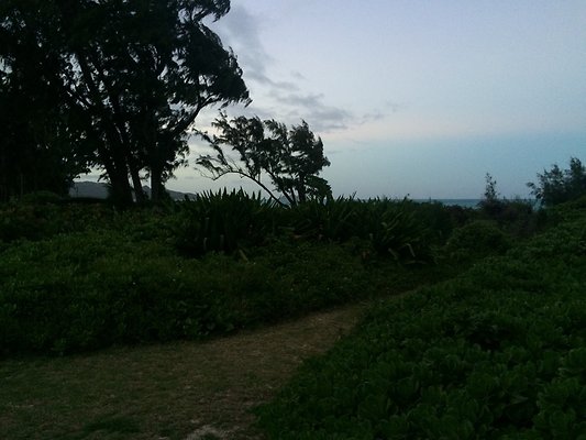 HI50 S5 41-959 Laumilo 44.25