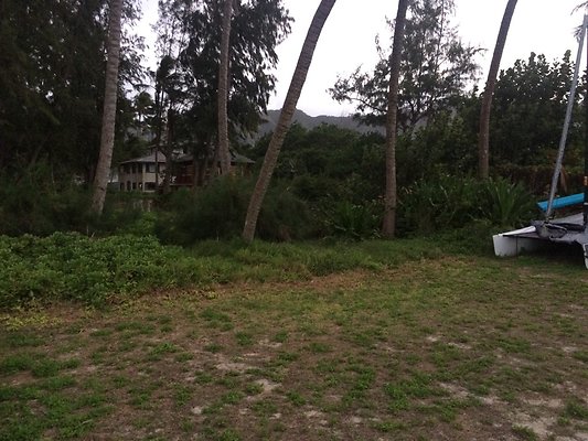 HI50 S5 41-959 Laumilo 44.08