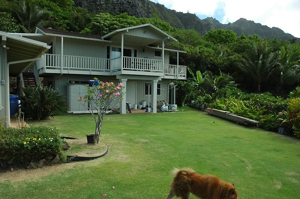 HI50 S5 Waimanalo 41-215HekiliikiPl MUmbleKim DSC 2960