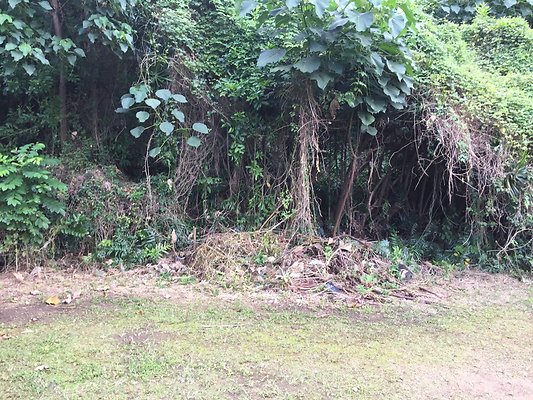 HI50 S6 2016-02-24 12.50.04