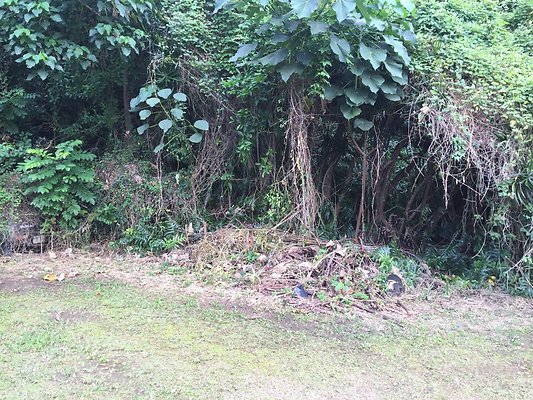 HI50 S6 2016-02-24 12.48.49