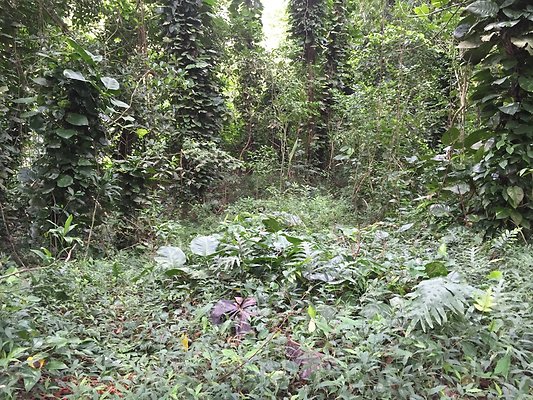 HI50 S6 2015-08-21 16.19.03