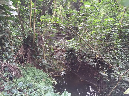 HI50 S6 2015-08-21 16.12.35