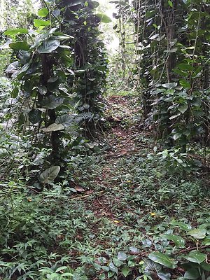 HI50 S6 2015-08-21 16.18.14