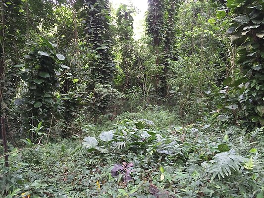 HI50 S6 2015-08-21 16.19.07