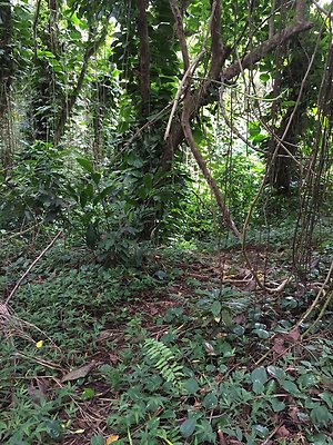 HI50 S6 2015-08-21 16.18.19