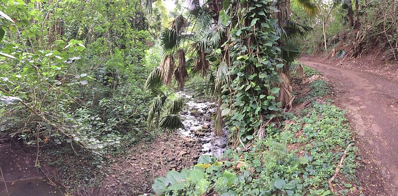 HI50 S6 2015-08-21 16.13.02