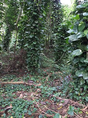 HI50 S6 2015-08-21 16.18.48