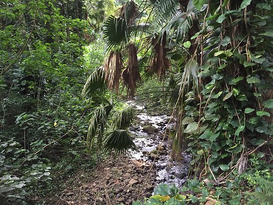 HI50 S6 2015-08-21 16.12.46