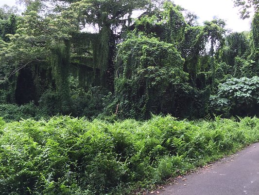 HI50 S6 2015-08-21 15.45.09