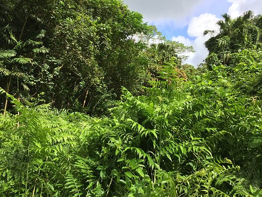 HI50 S6 2015-08-21 15.46.34